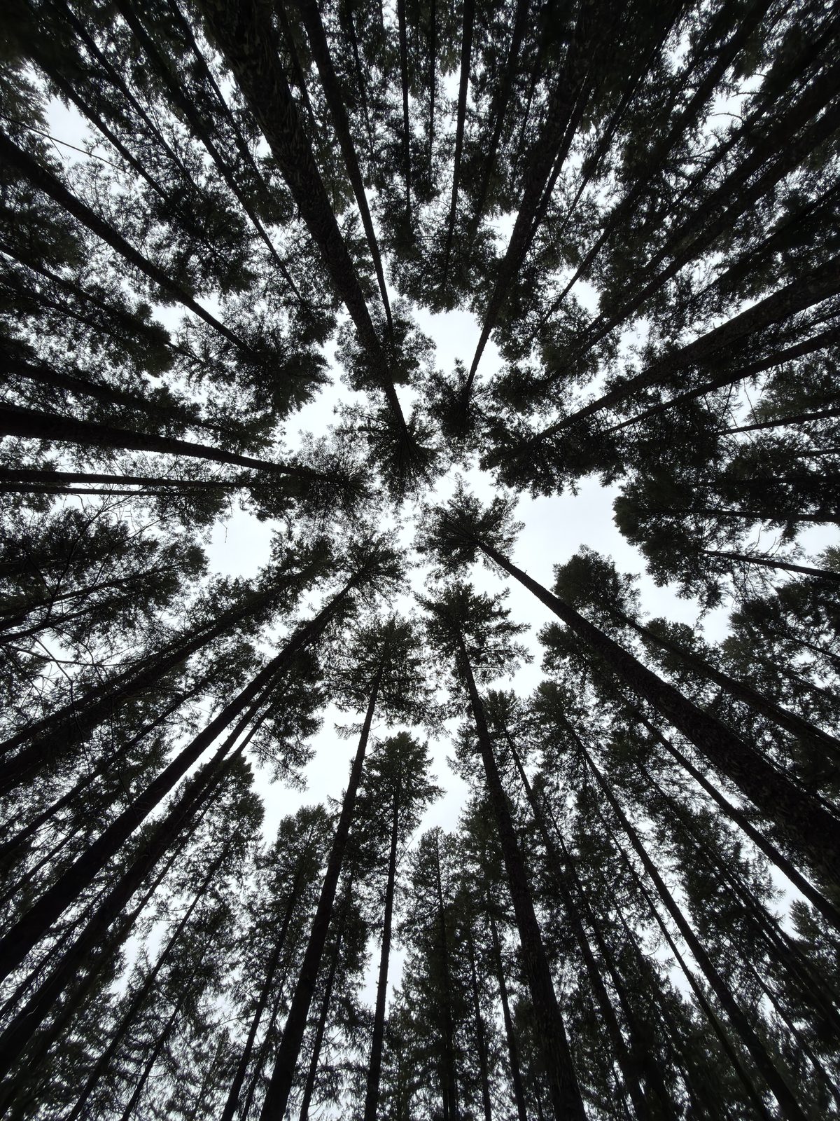 Featured photograph