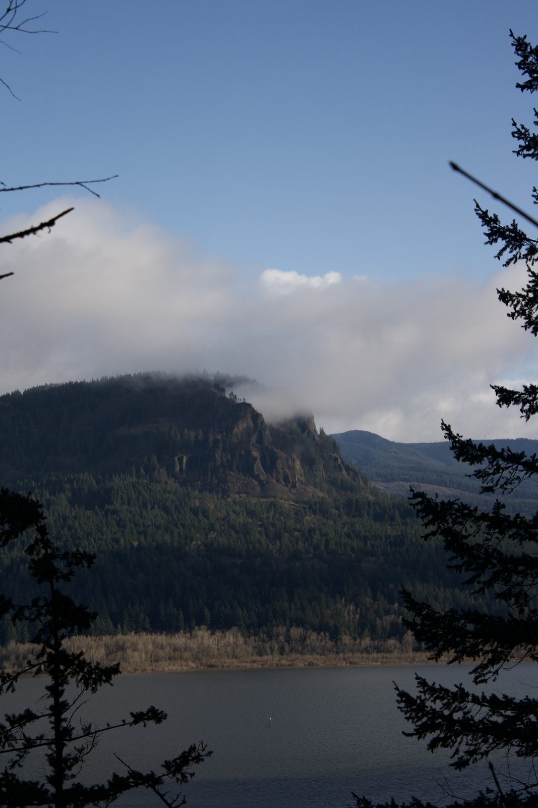 Oregon Landscape