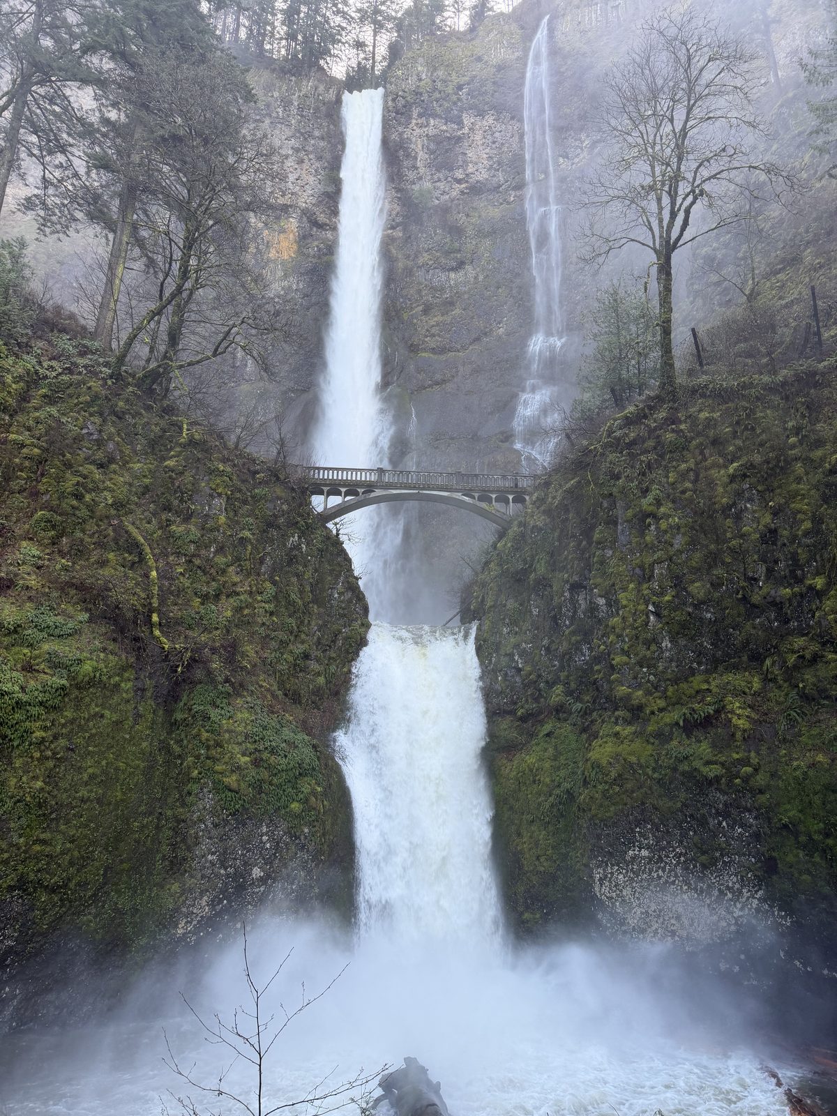 Oregon Waterfalls